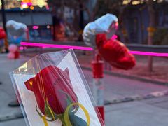 -枫花园汽车电影院(朝阳公园店)