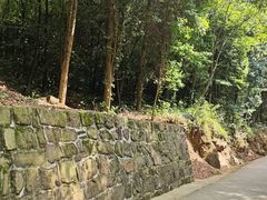 -老君山