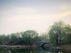 -大兴滨河森林公园