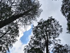 -渌洋湖湿地公园