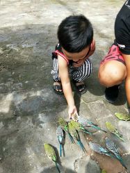 -上美四季动物农场