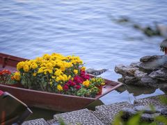 -荔湾湖公园