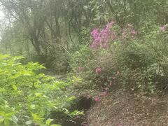 -水濂山森林公园