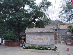 -康陵正德春饼宴26号