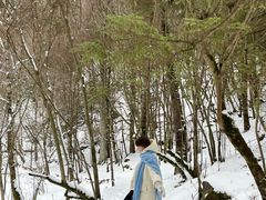 -叠溪松坪沟景区