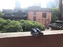 -上海白云观
