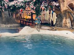 -中铁花水湾四季温泉谷