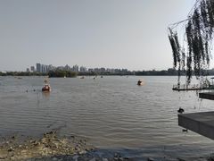 -天津水上公园
