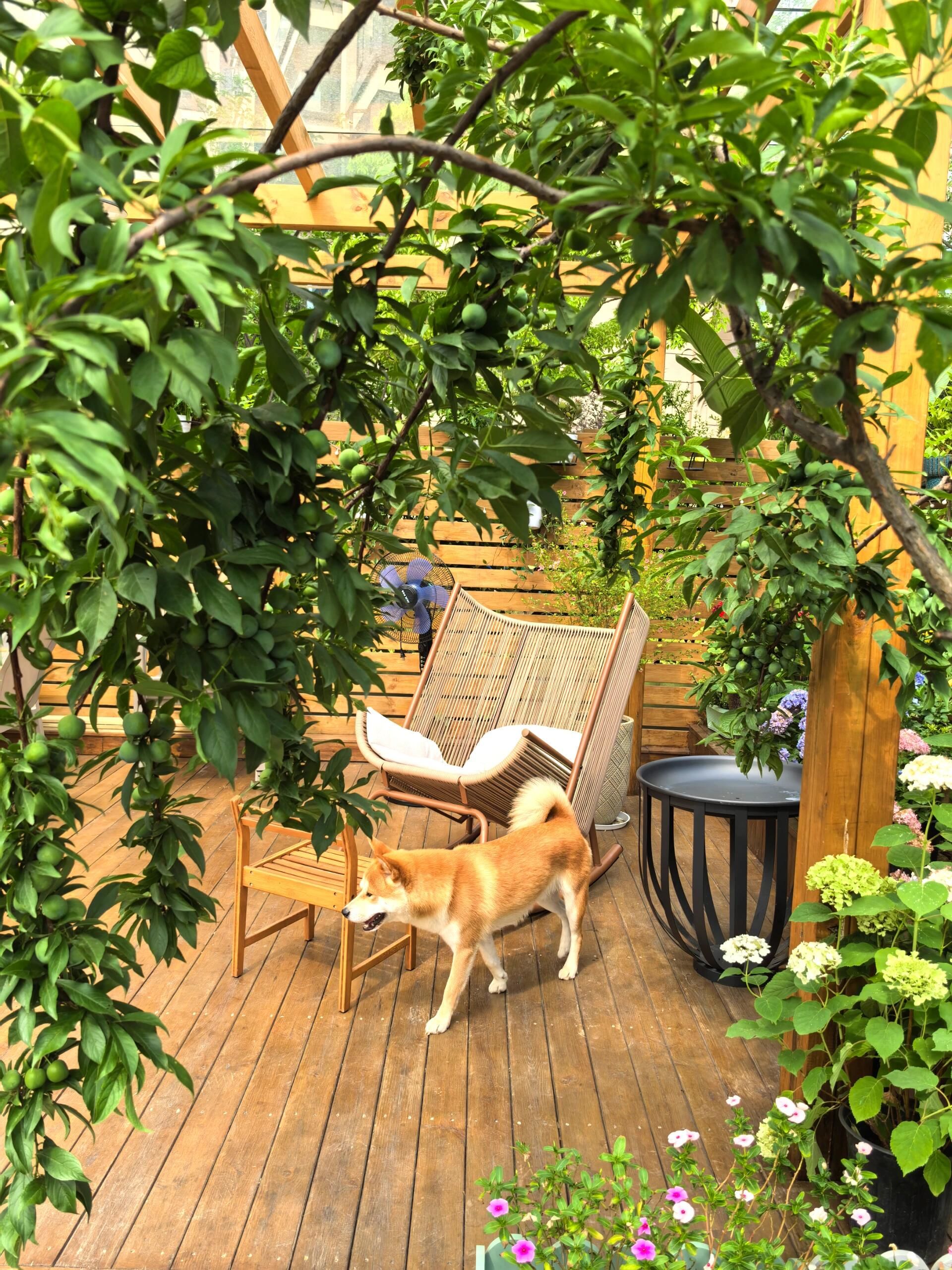 周末在这里惬意的休息[点赞]