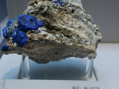 -湖南省地质博物馆