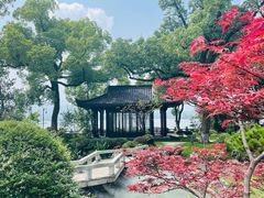 -杭州西湖柳莺里酒店·闻莺厅