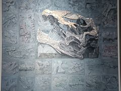 -自贡恐龙博物馆