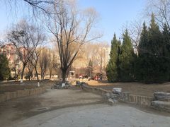 -芍药居北里