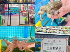 -坛南湾阿强农家乐.海鲜大排档老字号(福州地标美食店)