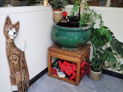 -猫小院猫主题餐厅(南锣旗舰店)
