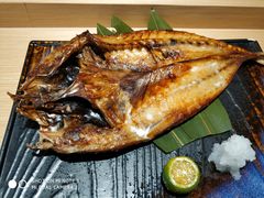 挪威竹荚鱼一夜干-紫· 割烹  Kappo Murasaki