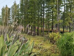 -昆山城市生态森林公园