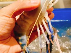 -星伦多海鲜自助餐厅(海陵金鹰店)