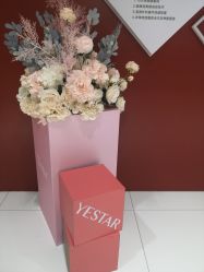 -Yestar艺星医疗美容医院