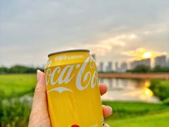 -洋湖国家湿地公园