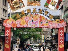 -溪岸路花鸟市场
