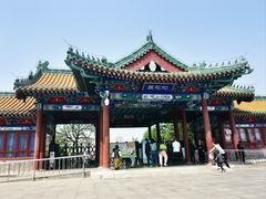 -莲花池公园