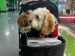 -FAELING PETS美天灵宠物(合生汇店)