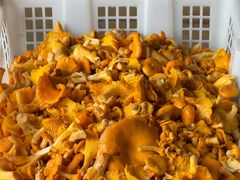 -双喜农庄·菌香园(安居家园店)