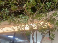 -Pekaa啤咖食肆Coffee&Bistro