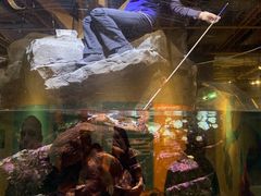 -西雅图水族馆