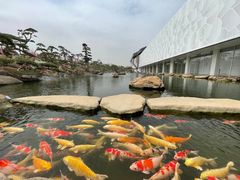 -罗红摄影艺术馆