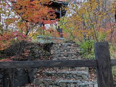 -天女山森林公园