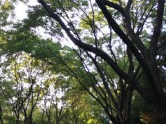 -森林公园(尖草坪区)