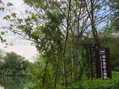 -西溪国家湿地公园