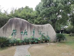 -荷塘月色湿地公园·向阳花洲