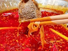 -懂食汇自助火锅