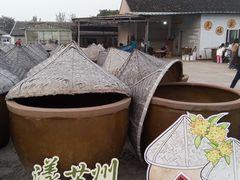 -苏州市吴中区光福窑上花果蜜饯厂