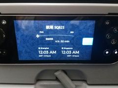 -新加坡航空公司(ION)