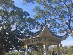 -江心屿景区
