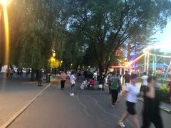 -长春市南湖公园