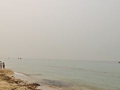 -贝壳沙滩