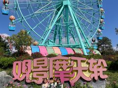 -南京银杏湖乐园