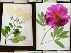 -南京中医药大学(仙林校区)