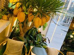 -猫王榴莲世家(三里屯SOHO商场店)
