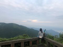 -武陵山森林公园