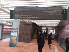 -香港大学