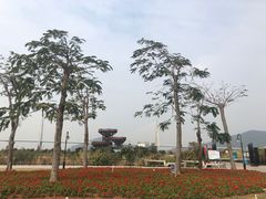 -芒洲湿地公园