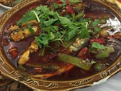 -明升萝卜汤