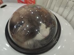 -四月宠物医院·猫专科·心脏专科·内科(转塘店)