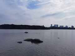-海珠湖公园